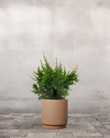 type=Simple krukke/color=Pale Terracotta