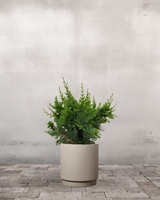 type=Simple krukke/color=Light Sand