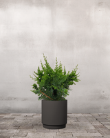 type=Simple krukke/color=Warm Black