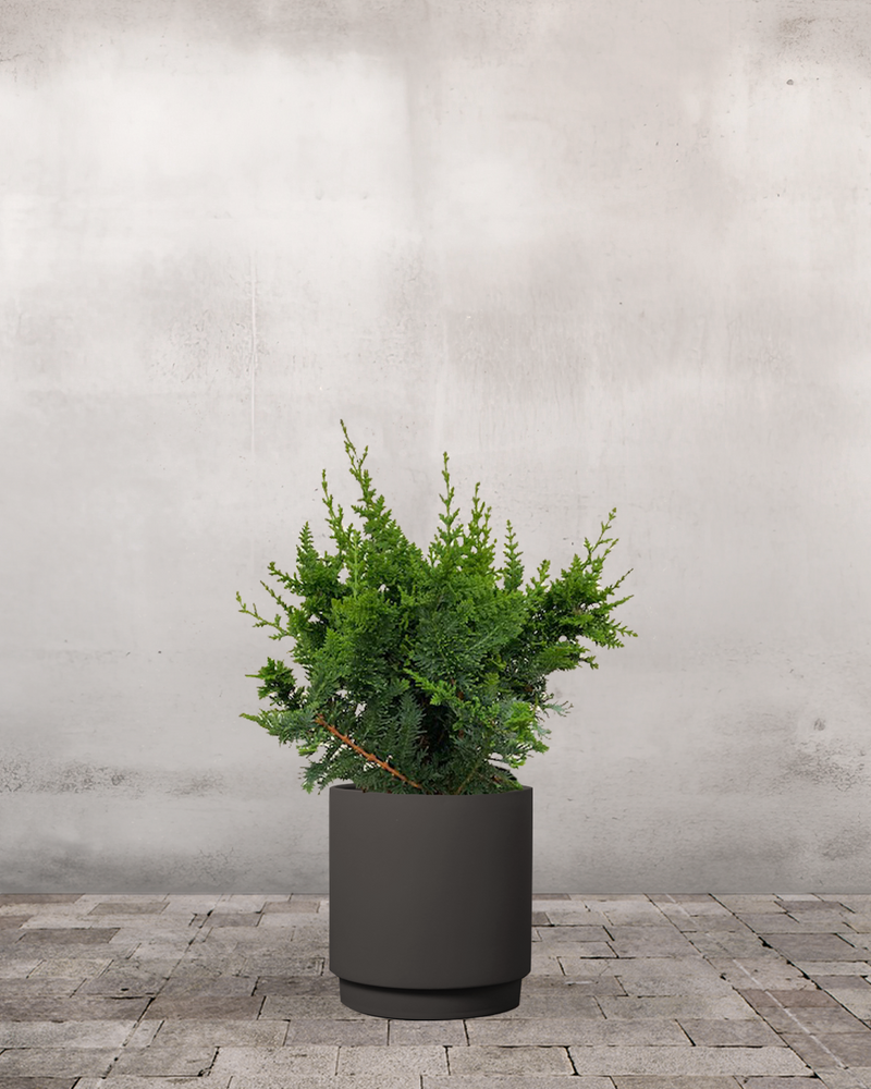 type=Simple krukke/color=Warm Black