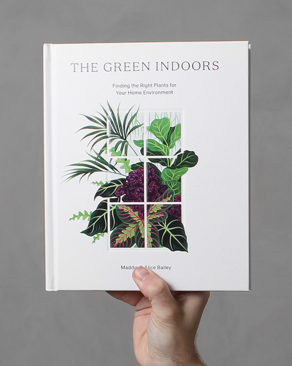 The Green Indoors