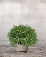 type=Simple krukke/color=Light Sand