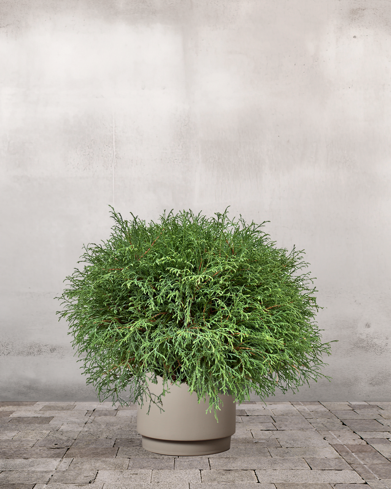 type=Simple krukke/color=Light Sand