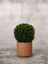 type=Simple krukke/color=Pale Terracotta
