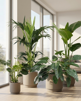 type=Simple Pot Clay/color=Light Sand