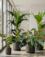 type=Simple Pot Clay/color=Warm Black