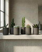 type=Simple Pot Clay/color=Warm Black
