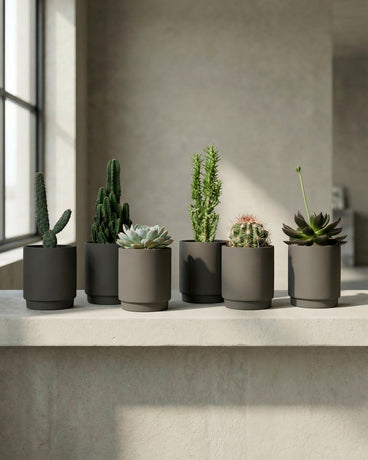 type=Simple Pot Clay/color=Warm Black