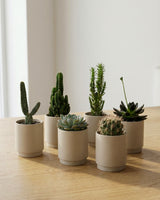 type=Simple Pot Clay/color=Light Sand