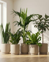 type=Simple Pot Lite/color=Light Sand