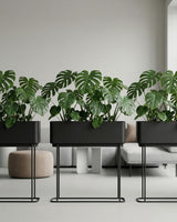 Simple Box Plantepakke - Flere varianter