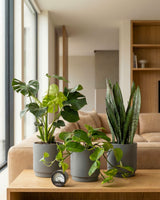 type=Simple Pot Clay/color=Warm Black